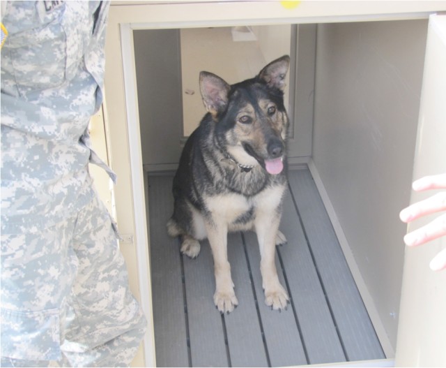 New deployable kennels for military dogs mitigate temperature extremes