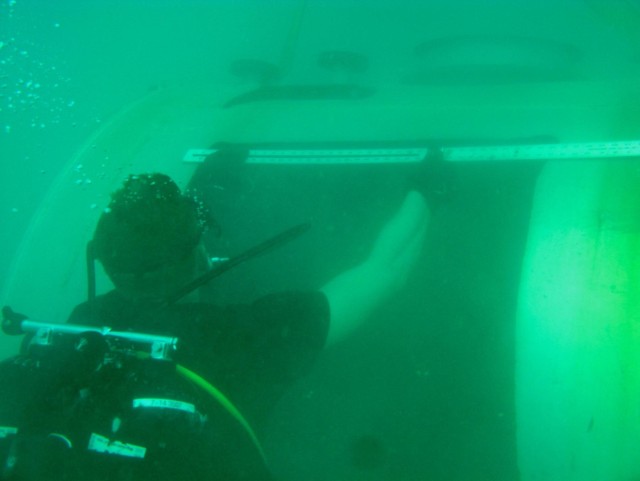 Army divers complete underwater salvage exercise