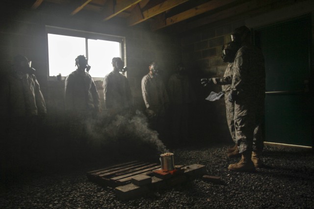 Inside the gas chamber