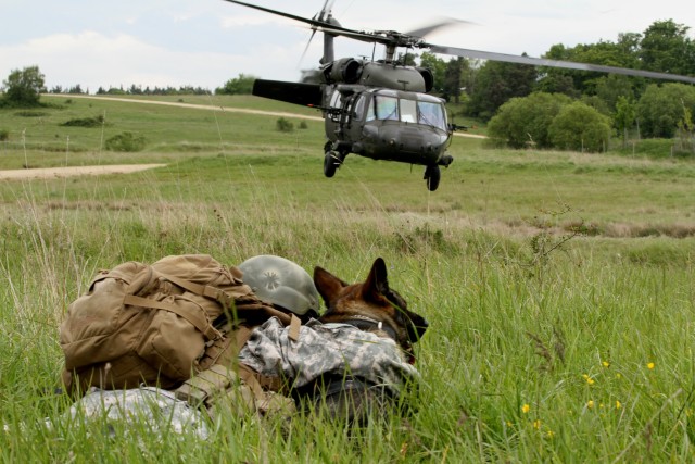 Lithuanians and MWD