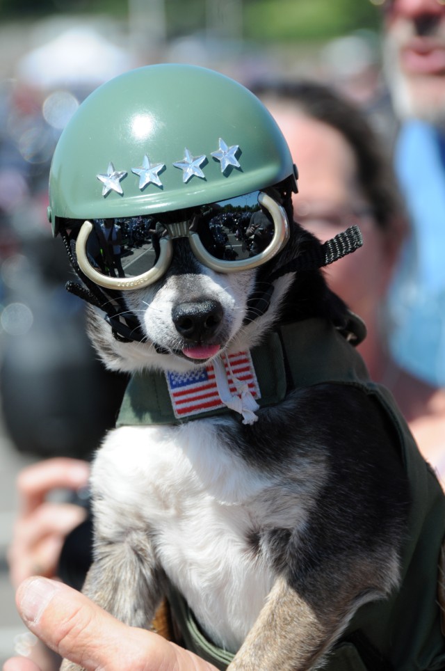 Tens of thousands draw attention to POWs, MIAs as part of Rolling Thunder XXVII