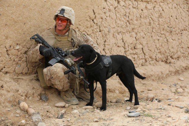 1/9 Bravo Company Joint Patrol