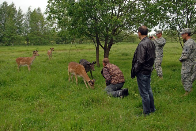 Deer are interested in Michigan Soldiers