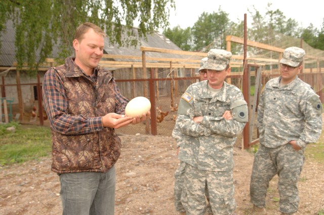 How to cook an Ostrich egg