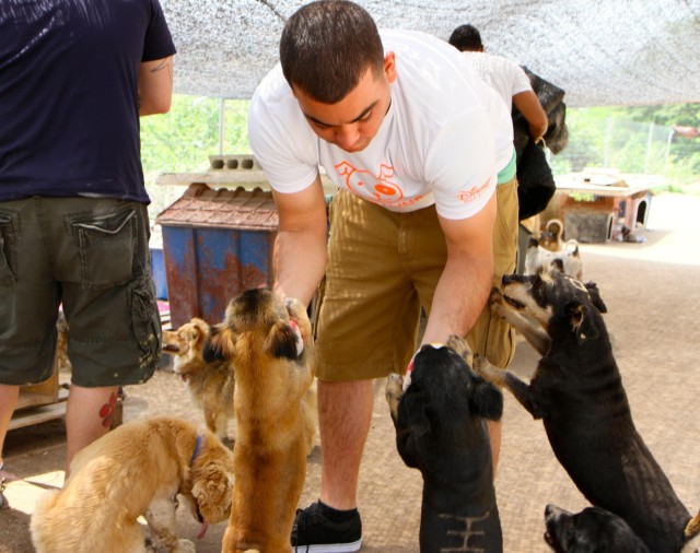 Soldiers give affection and attention to abandoned animals