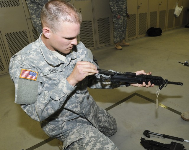 Weapons assembly
