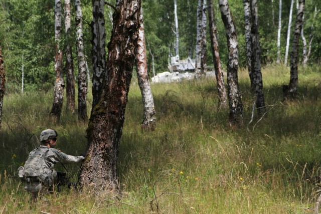 Security in the trees