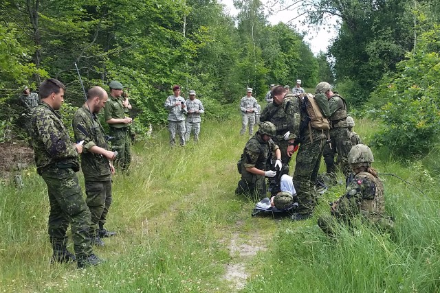 U.S. Army Reserve and Guard soldiers participate in Danish exchange program