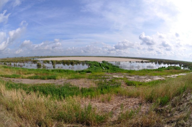 Bird Island - Savannah Harbor dredge disposal area 12A