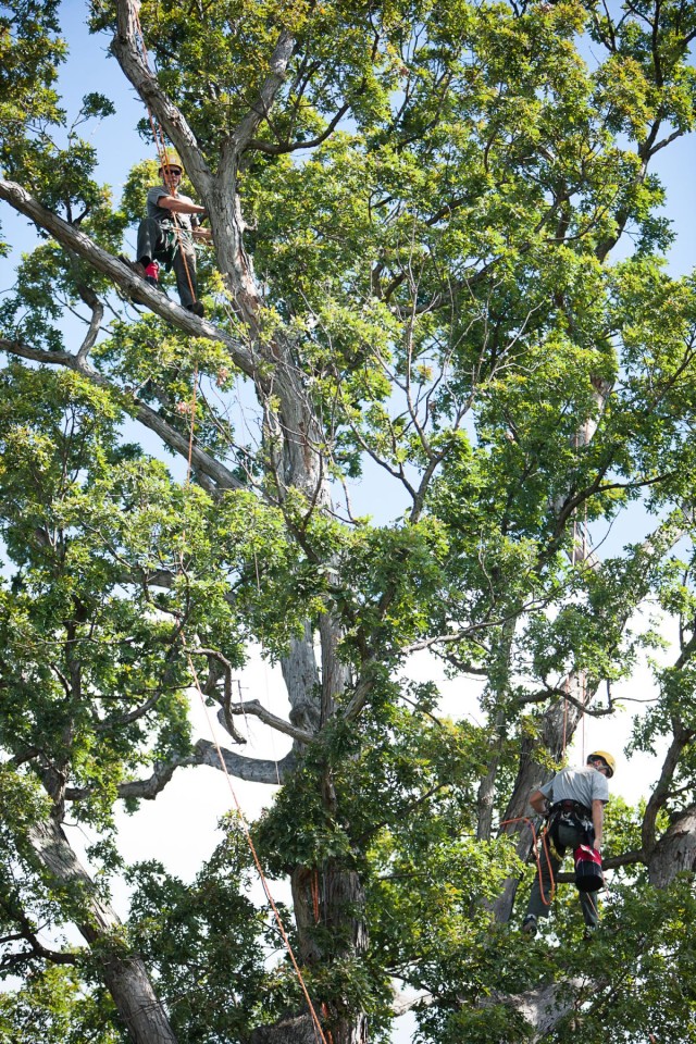 Volunteers, vets help keep ANC beautiful