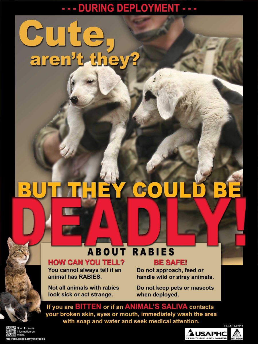 Preventing rabies during deployment | Article | The United States Army