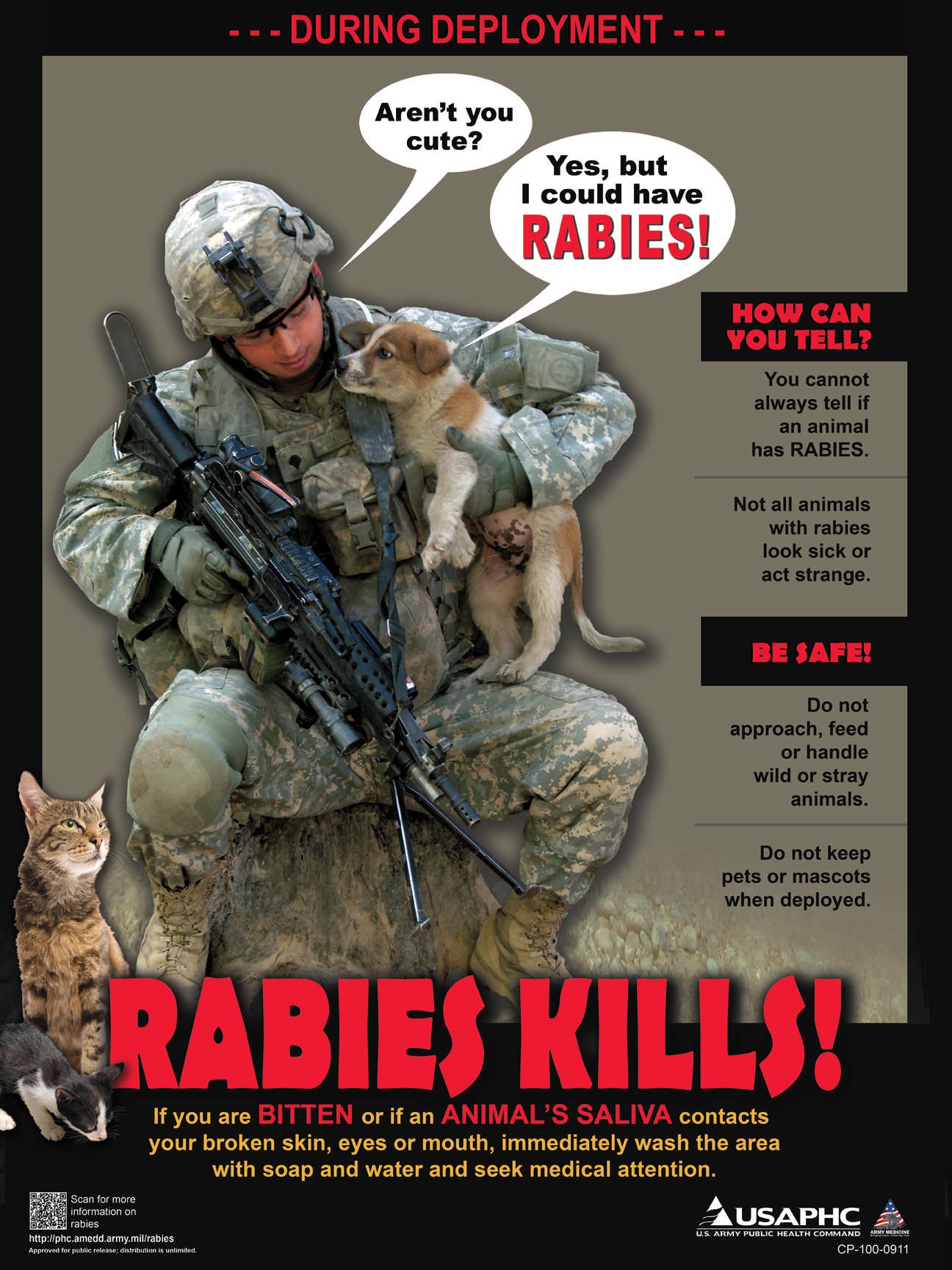 Preventing rabies during deployment | Article | The United States Army