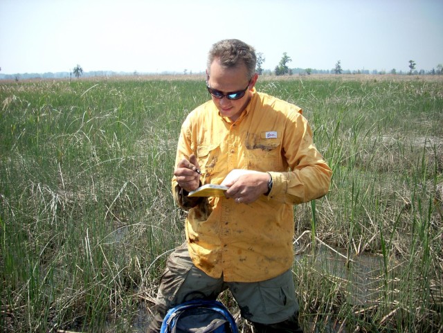 Savannah marsh sites