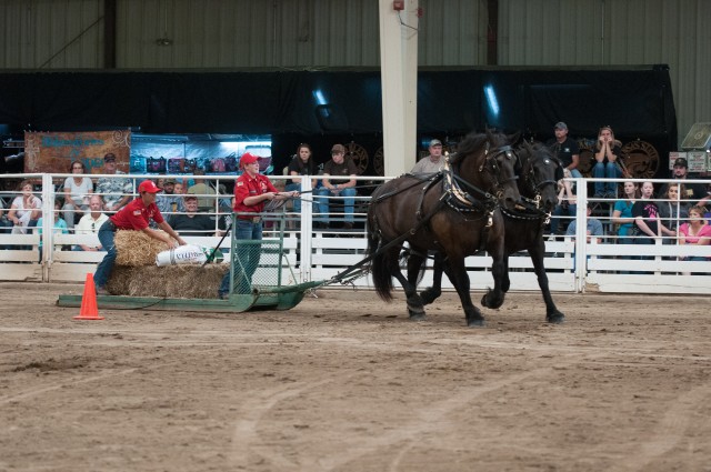 Mounted color guard Soldiers represent 'Big Red One' at Kansas State Fair