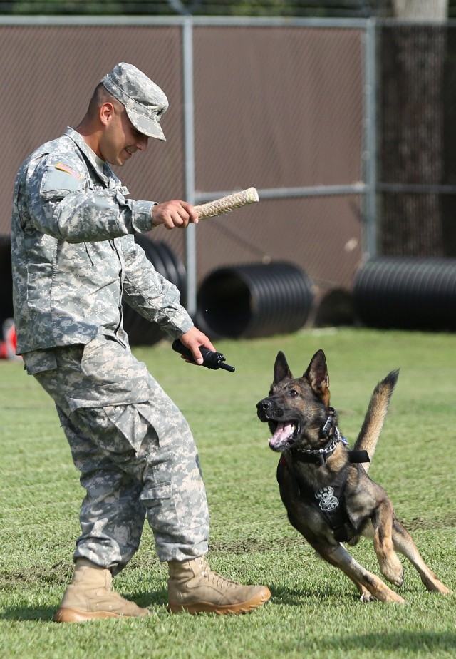 'Top Dog' honor awarded to Fort Meade handler