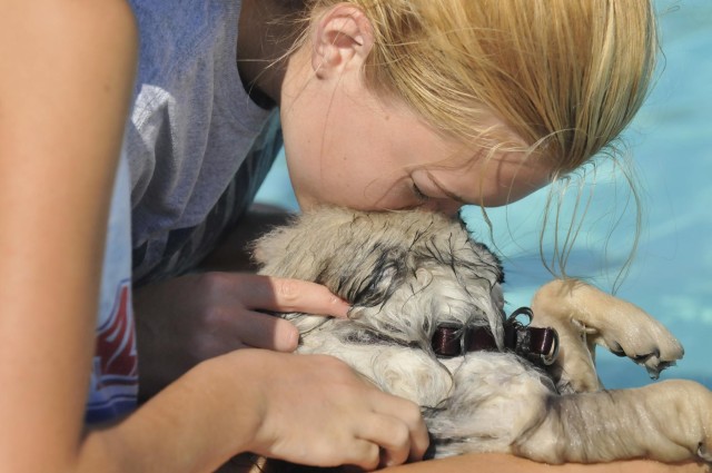 Howling good time had at Fort Myer Doggie Dip