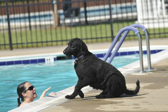Howling good time had at Fort Myer Doggie Dip