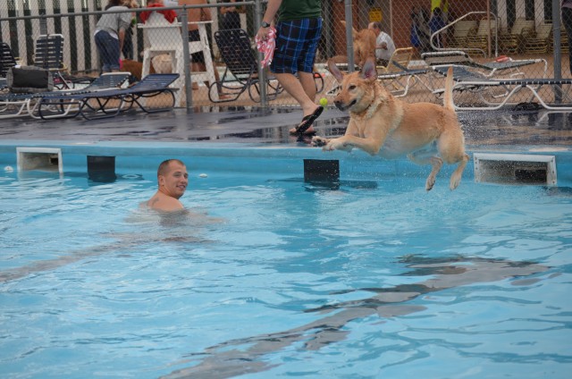 Canines, humans enjoy day at pool