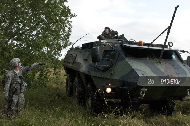 Heroes on helos: American paratroopers, Estonian Scouts train together in air assault