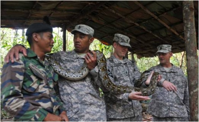 U.S. Army Rangers - Jungle Camo