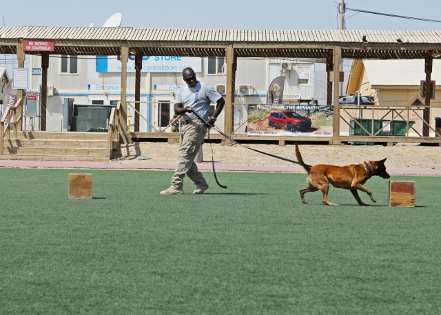 KAF vet clinic holds event to mark World Rabies Day