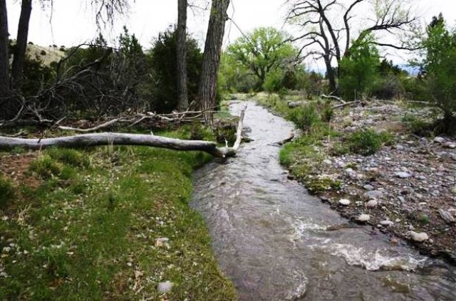 Santa Clara Pueblo and the Corps of Engineers: A Working Partnership between Two Nations