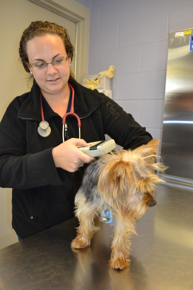 Preparation is key to smooth move with pets