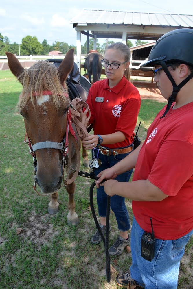 Equine therapy available at Hilltop Riding Stables Article The