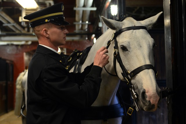 Caisson Platoon: Solemn duty of honor and respect