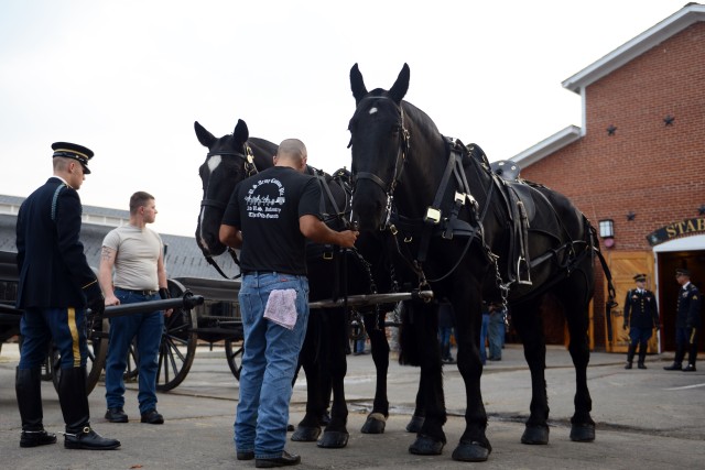 Caisson Platoon: Solemn duty of honor and respect