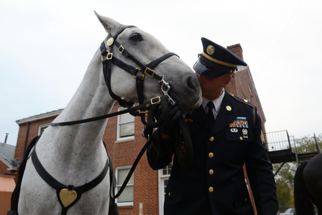 Caisson Platoon: Solemn duty of honor and respect