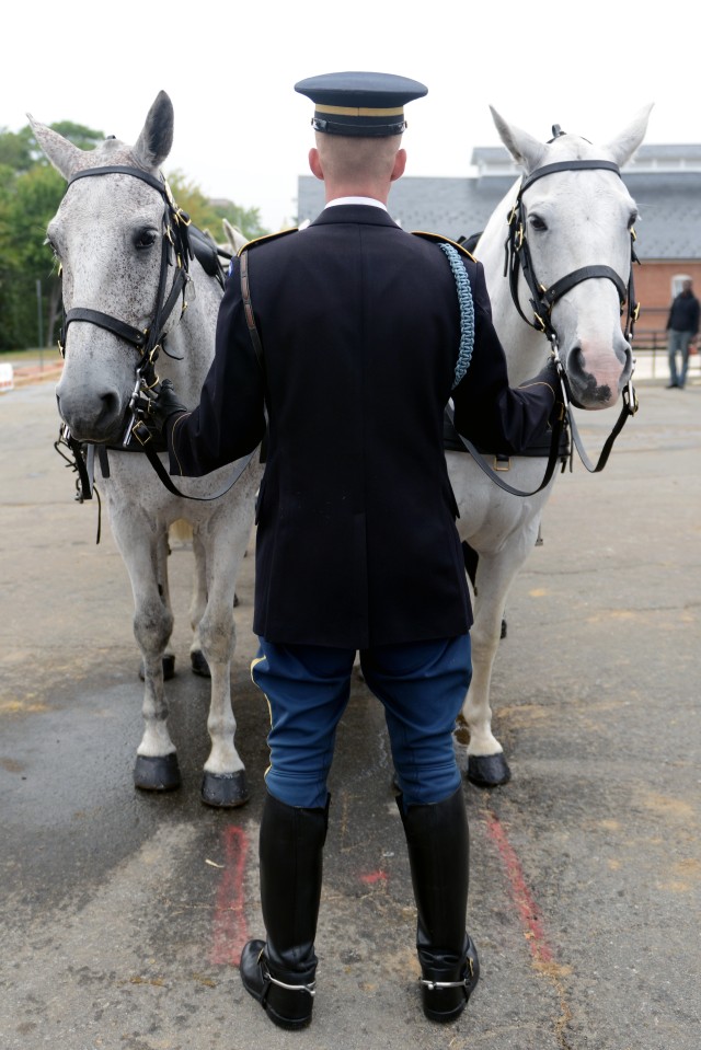 Caisson Platoon: Solemn duty of honor and respect