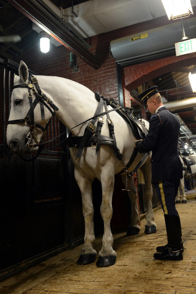 Caisson Platoon: Solemn duty of honor and respect