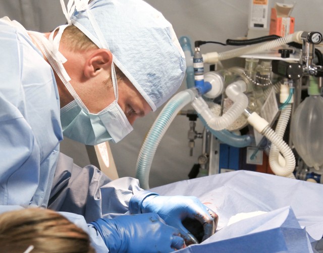 Army Veterinarians' exercise offers free pet care