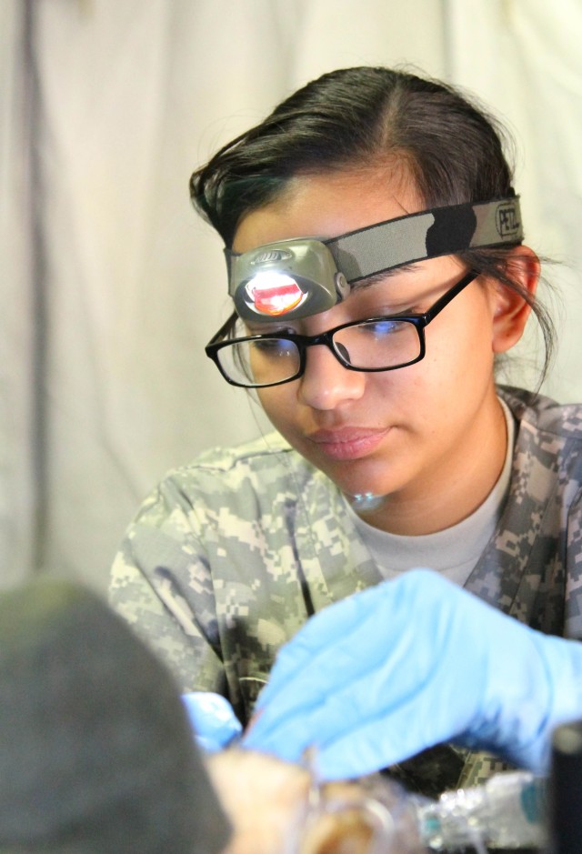 Army Veterinarians' exercise offers free pet care