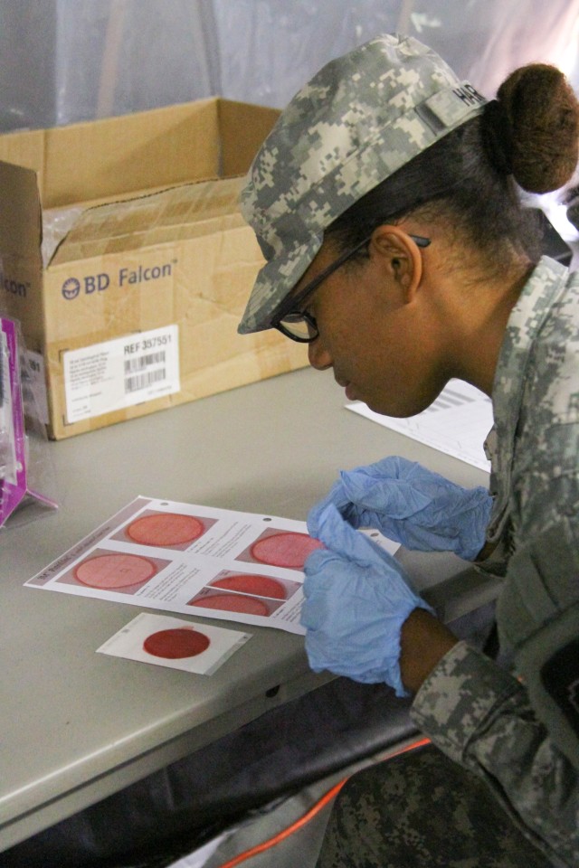 Army Veterinarians' exercise offers free pet care