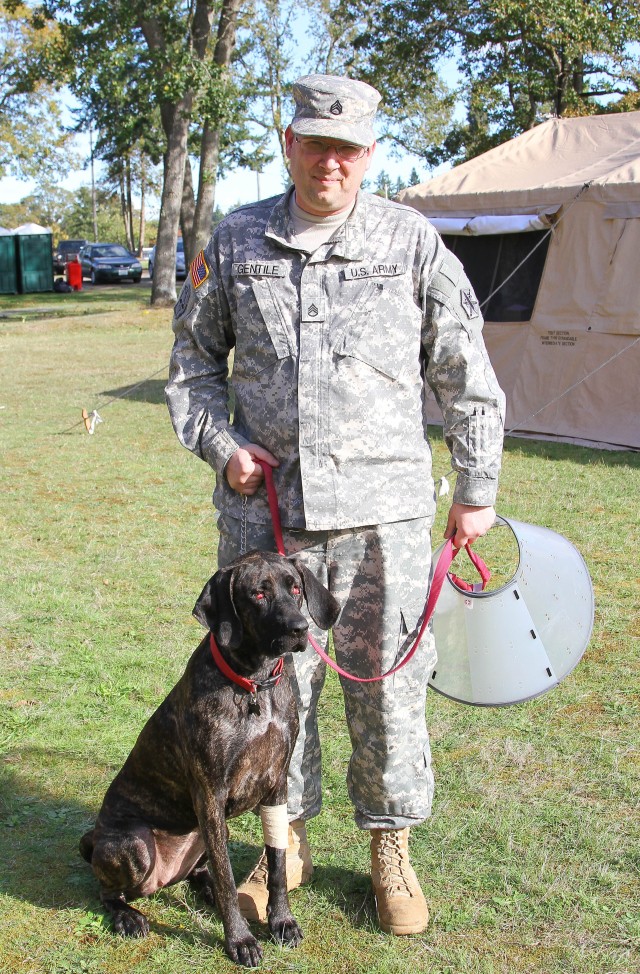 Army Veterinarians' exercise offers free pet care