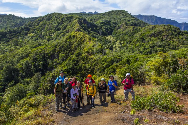 Volunteers help protect Makua endangered plants