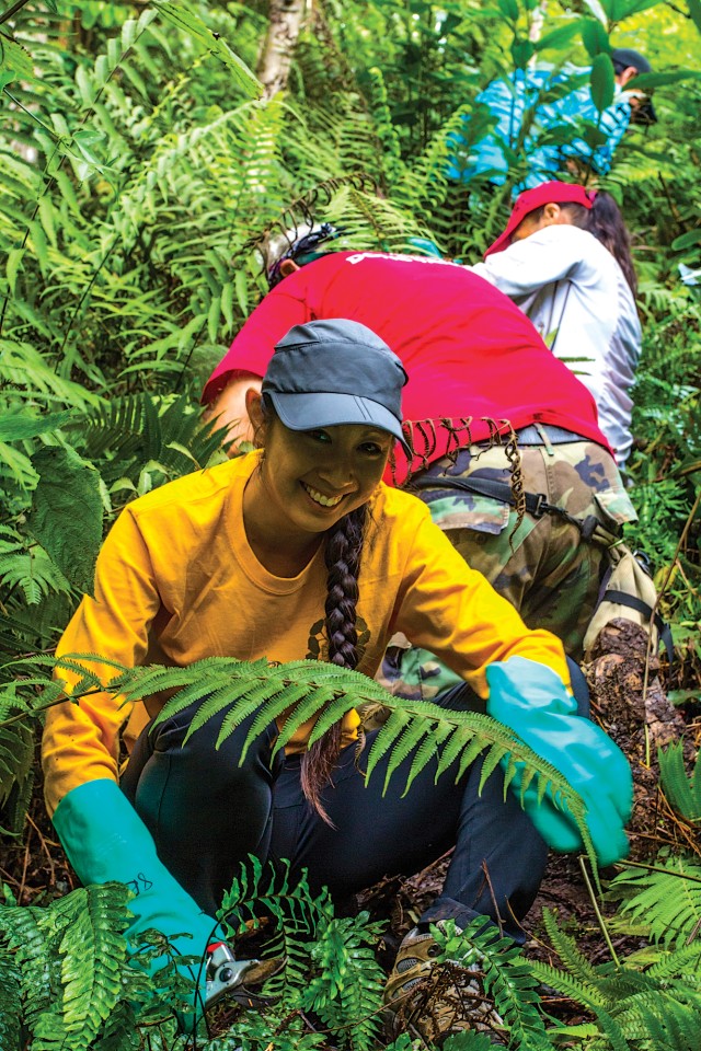 Volunteers help protect Makua endangered plants