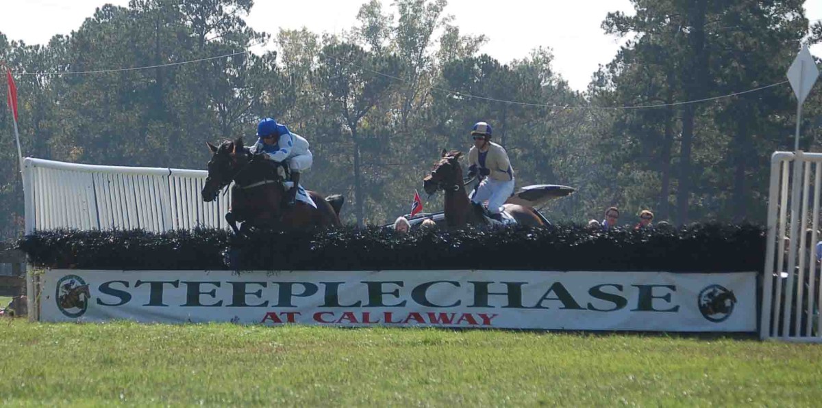 Steeplechase at Callaway Gardens Article The United States Army