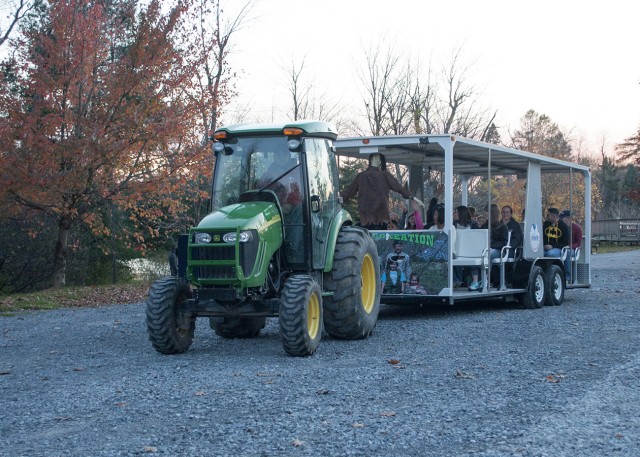 Haunted Hayride 1