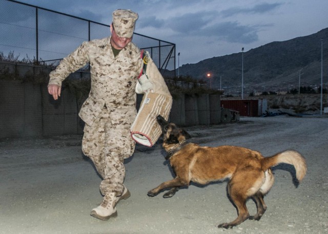 Operation Proper Exit: Wounded warriors bring experience and wisdom to Soldiers in Afghanistan