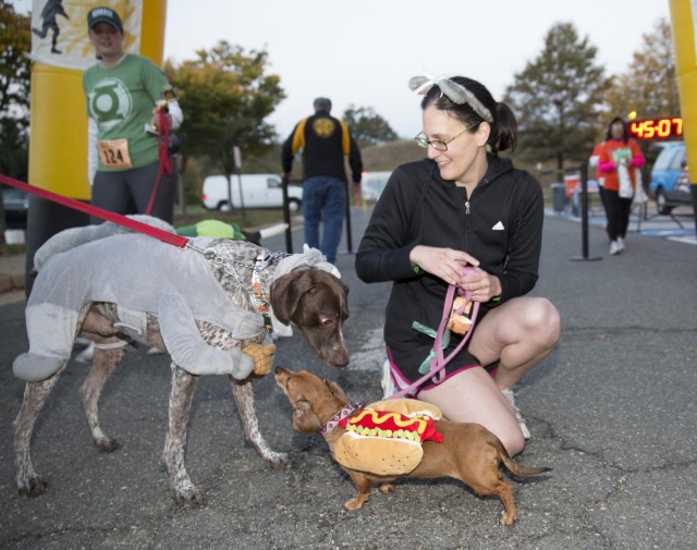 Dogs and demons dash domestic violence