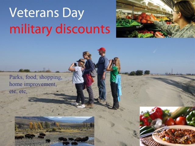 Veterans Day discounts