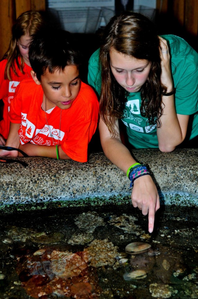 Camp Corral: Serve those who have served us