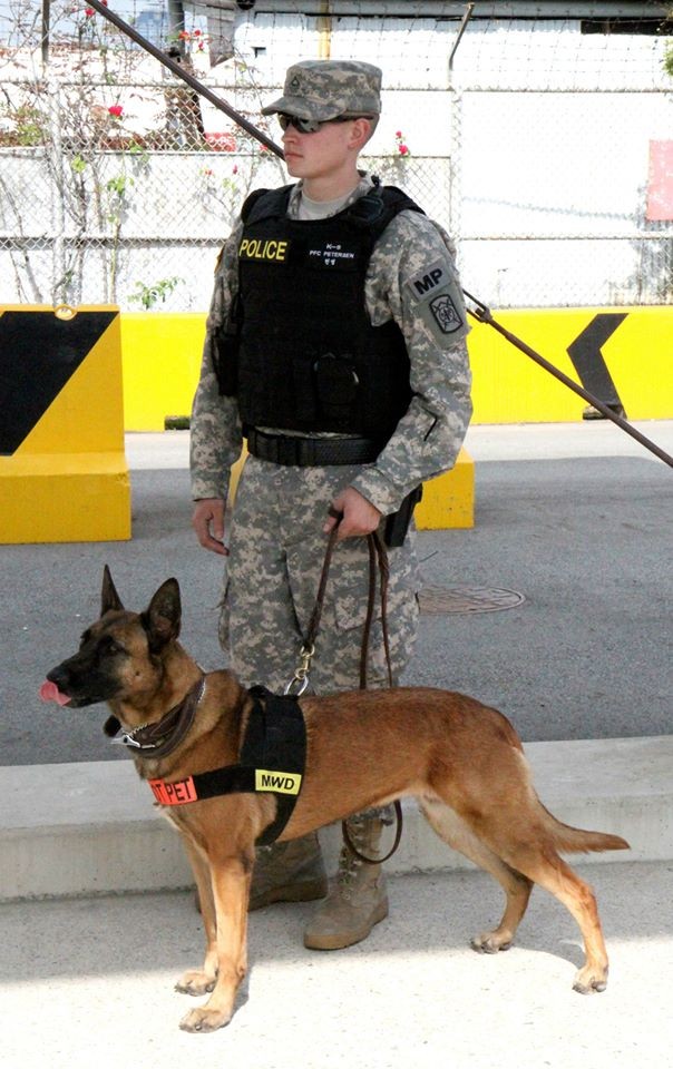 K9, Soldiers conduct anti-terrorism training | Article | The United