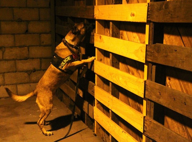 K9, Soldiers conduct anti-terrorism training