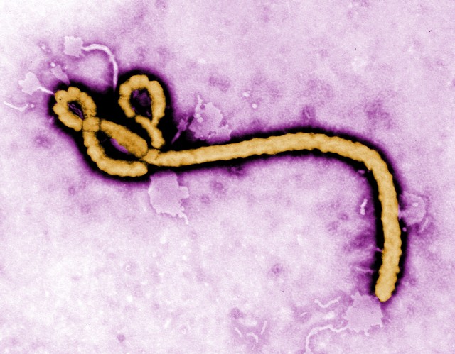 Natick played a role in developing containment system used against Ebola