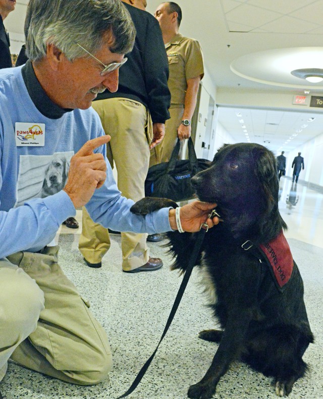 Psychiatric service dogs helping veterans with PTSD