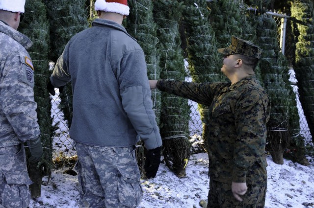 Holiday cheer for troops